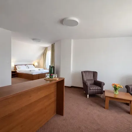 Lapas U Hoffera 3* نيترا