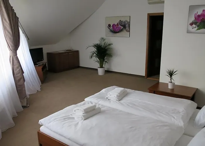 Lapas U Hoffera 3* نيترا